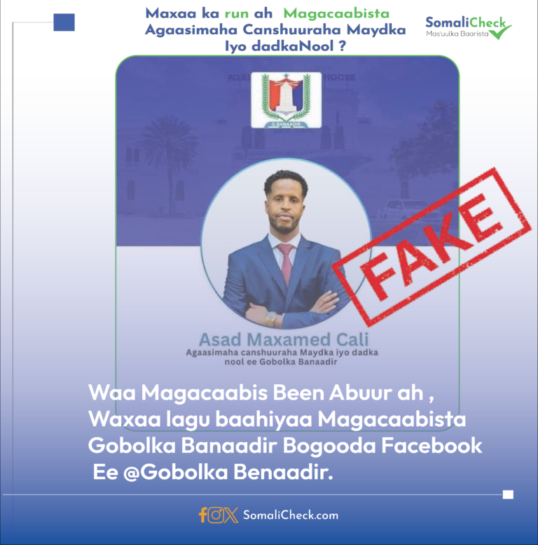 What is the reality behind the appointment of the Director of Taxes on the Dead and Living in Banadir Region?